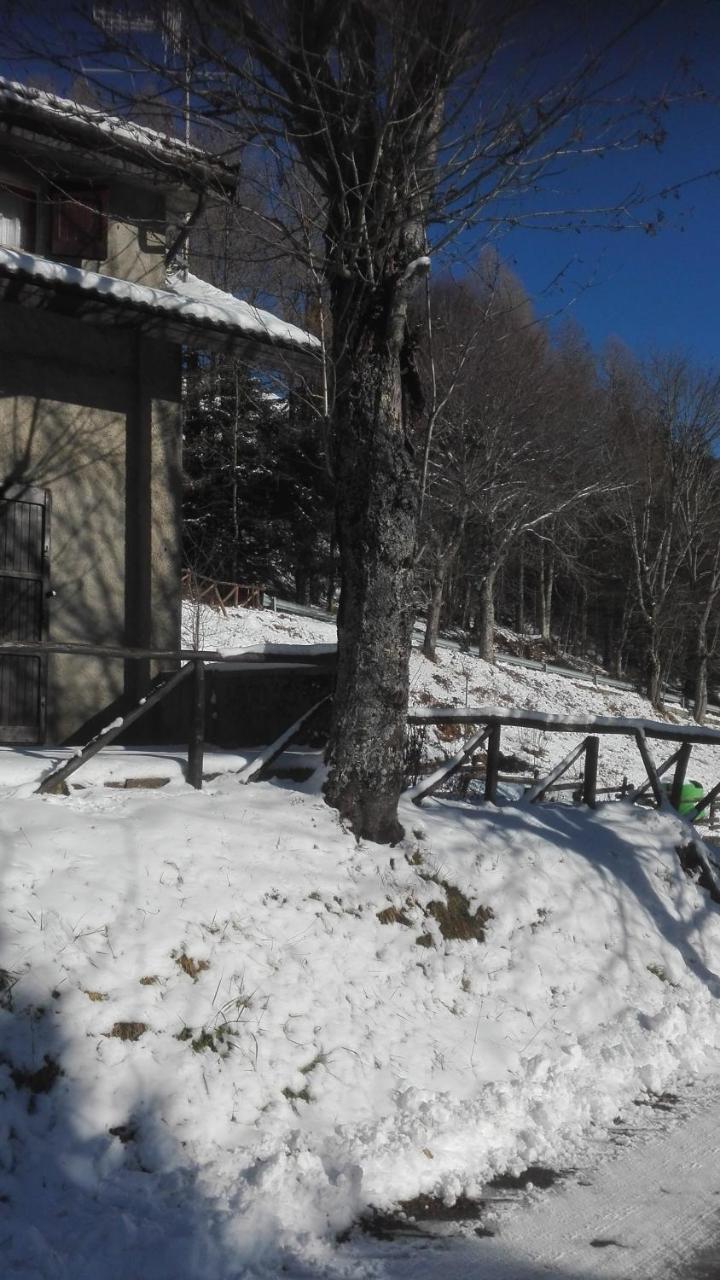 B&B Bucaneve Abetone Esterno foto